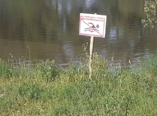 Трагедия на озере: 13-летняя девочка утонула в Курганской области