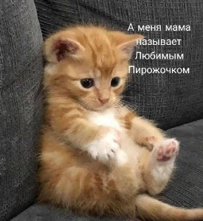 Самые популярные имена новорожденных в Курганской области в 2026 году
